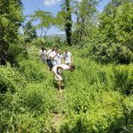 Foraging: passeggiata etnobotanica con degustazione