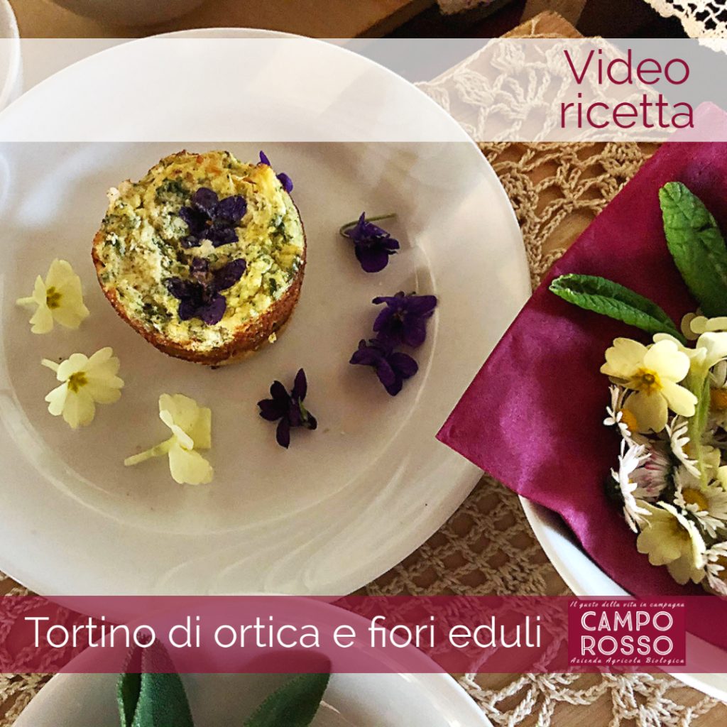 Video-ricetta Tortino di ortiche e violette