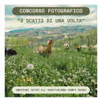 Concorso fotografico – 3 Scatti di una Volta