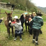 Selfie Donkey Contest 2026