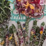 Corso di Smudge in Romagna | Laboratorio pratico di erbe spontanee aromatiche
