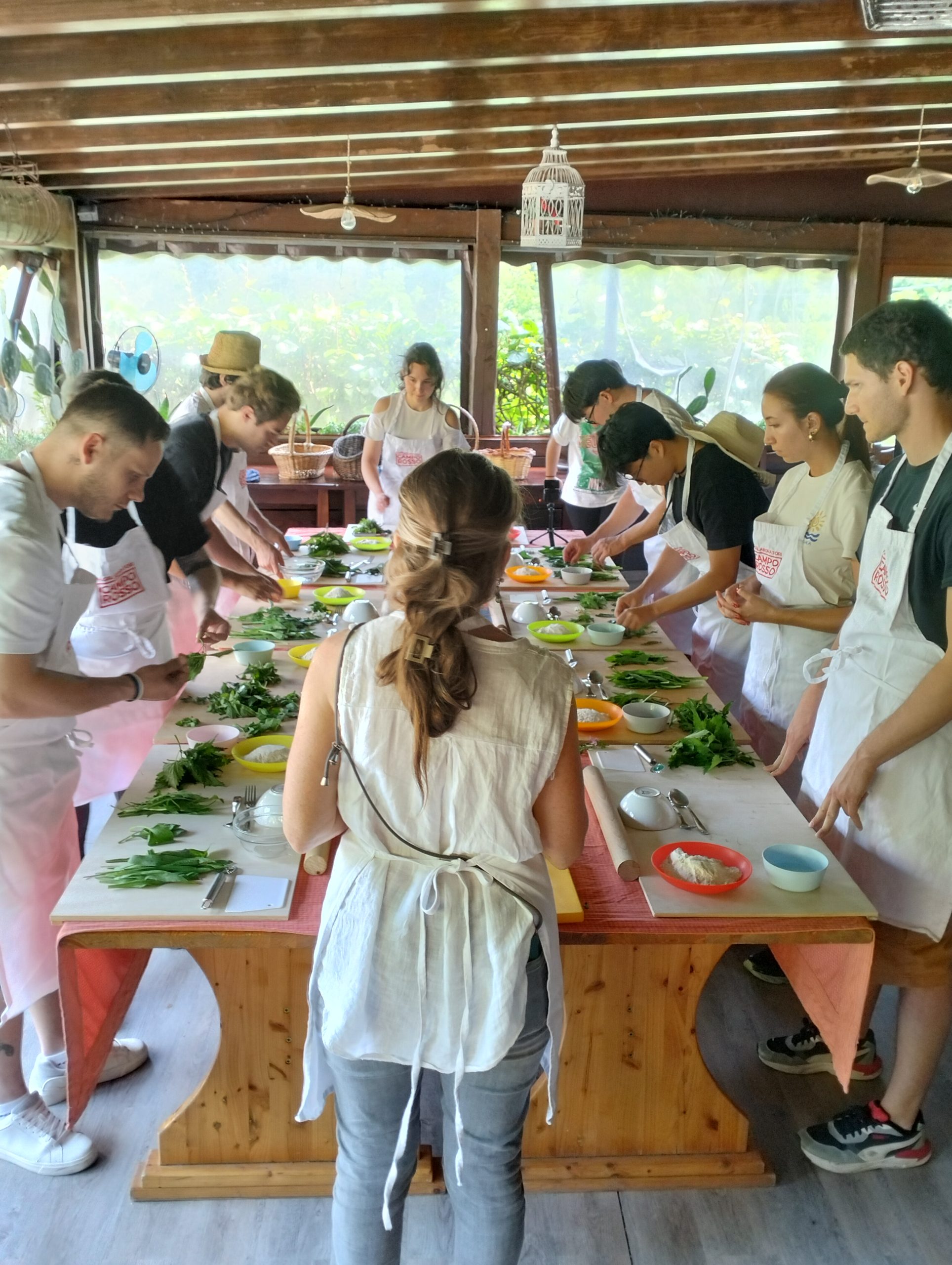 Raccogli e Cucina con le Erbe Spontanee